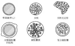 微膠囊技術(shù)在車用聚氨酯膠粘劑中的應(yīng)用設(shè)想