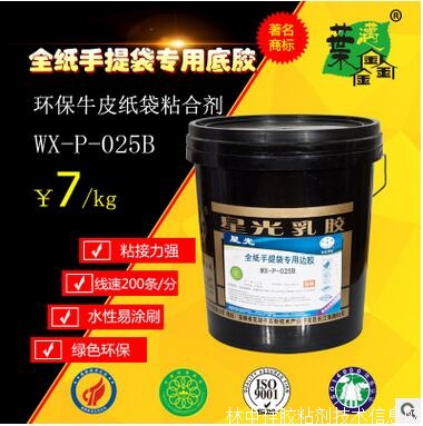 葉邁鑫 全紙手提袋專用