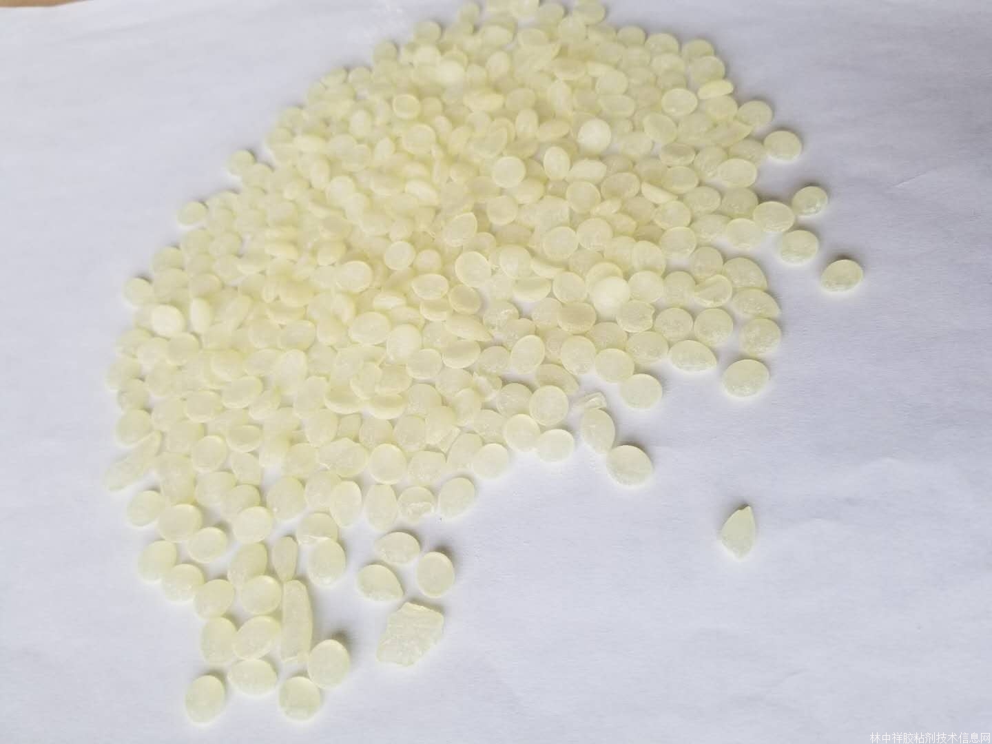 松香樹(shù)脂SNS-145